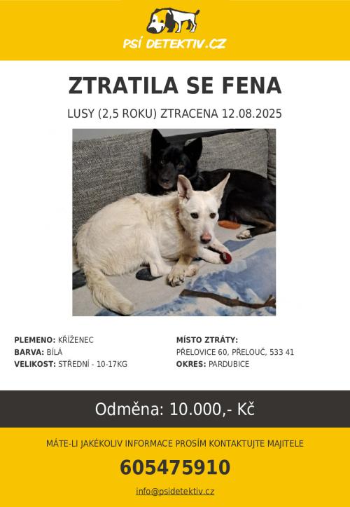 leták